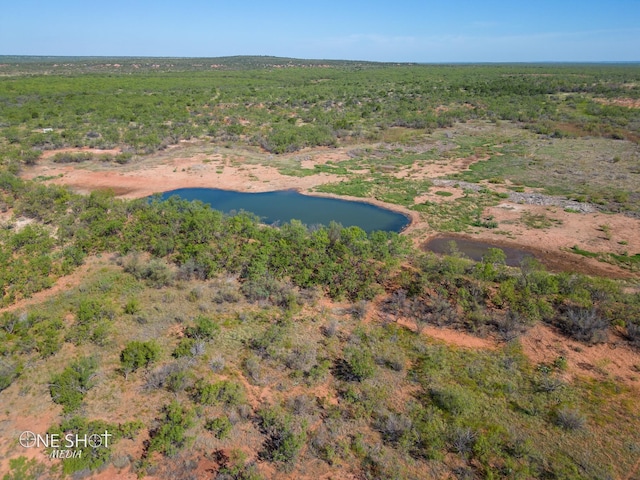 1620 County Road 163, Trent TX, 79561 land for sale