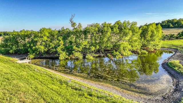 LOT8 Carter Rd, Springtown TX, 76082 land for sale