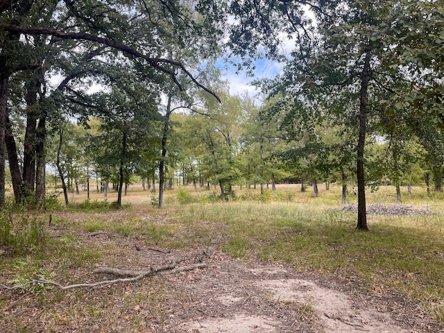 650 County Rd 2607, Bonham TX, 75418 land for sale