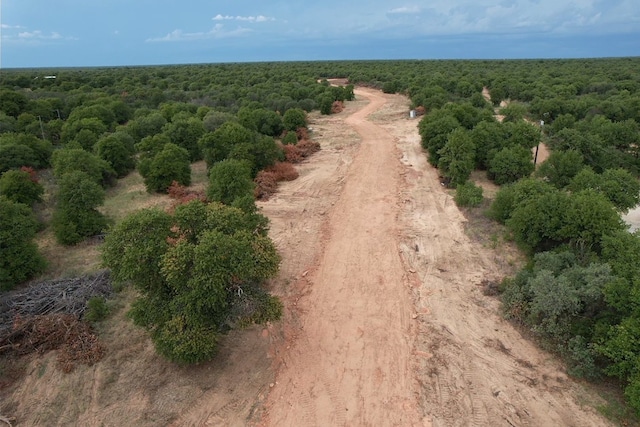 LOT4 Farm Rd Unit 3326, Hawley TX, 79525 land for sale