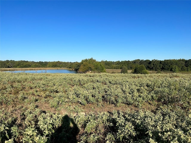 1111 Vz County Road 1107, Canton TX, 75103 land for sale