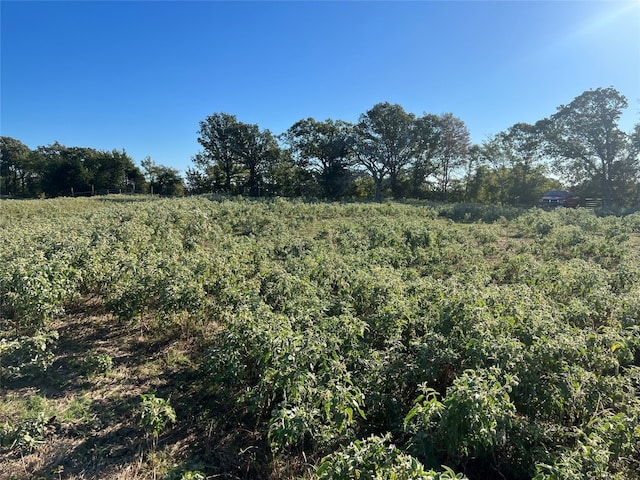 Listing photo 2 for 1111 Vz County Road 1107, Canton TX 75103