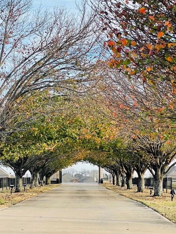 view of home's community