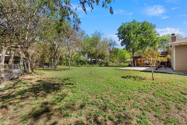 view of yard with a patio area