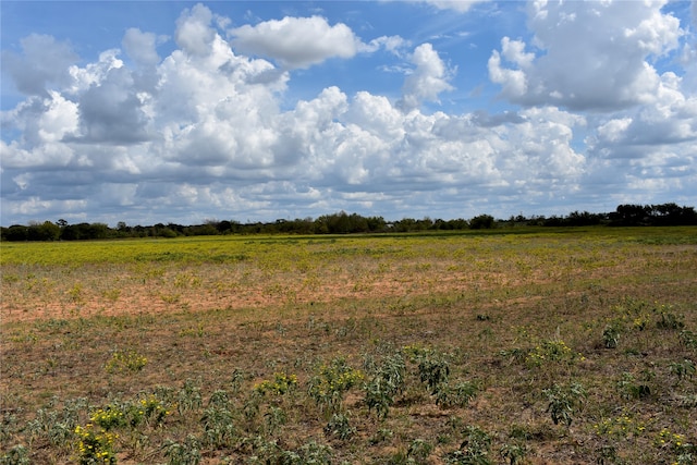 Listing photo 2 for TBD Highway 6 W, De Leon TX 76444