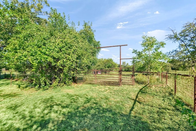 view of yard with a rural view