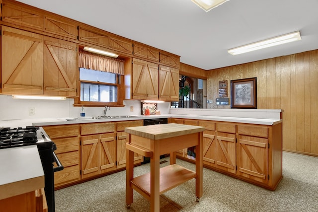 kitchen with wood walls, white range with gas stovetop, and sink