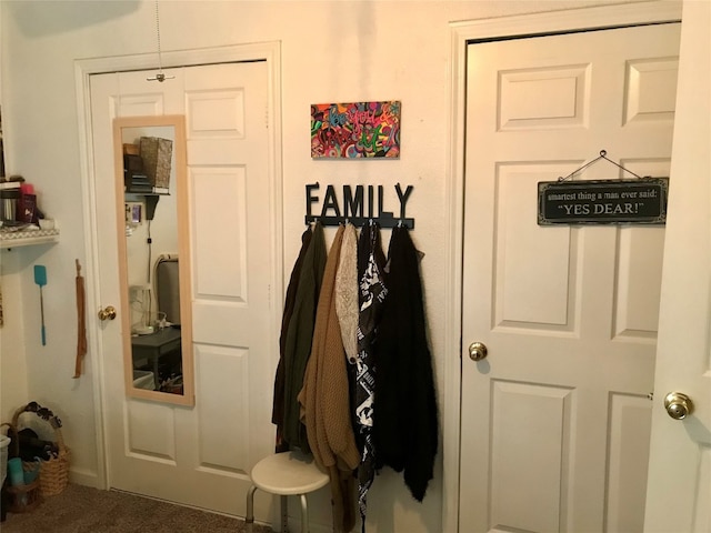 mudroom with dark carpet