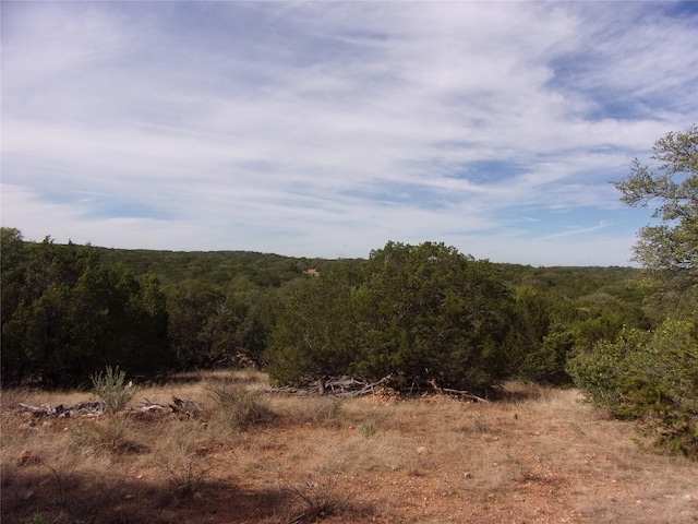 Listing photo 3 for Unknow Cr 310, San Saba TX 76877