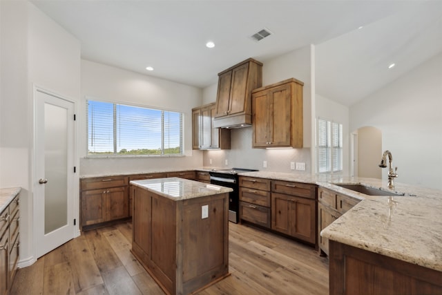 kitchen featuring light hardwood / wood-style floors, stainless steel electric stove, sink, and plenty of natural light