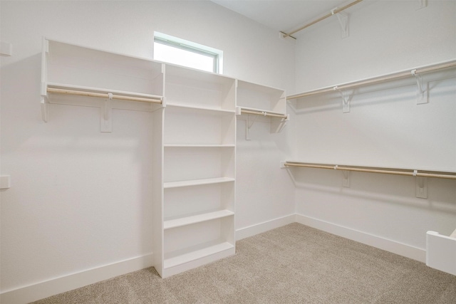 spacious closet featuring light colored carpet