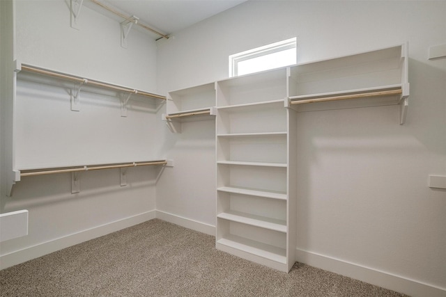 walk in closet with carpet flooring