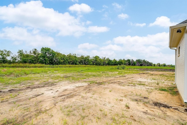 view of yard with a rural view