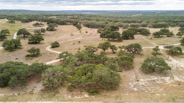 LOT181 Blackbuck Ridge Dr, Lampasas TX, 76550 land for sale