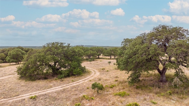 Listing photo 3 for LOT181 Blackbuck Ridge Dr, Lampasas TX 76550