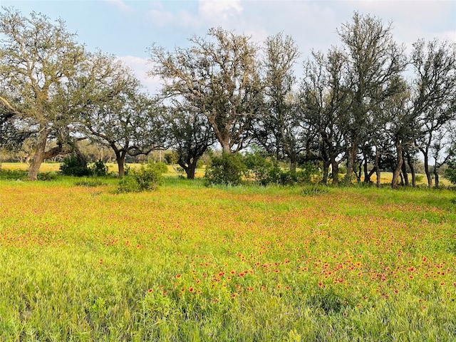 Listing photo 3 for 100 S Waterbuck Way, Lampasas TX 76550