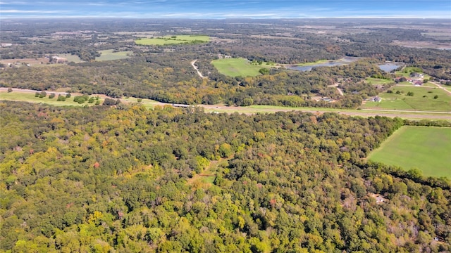 view of bird's eye view