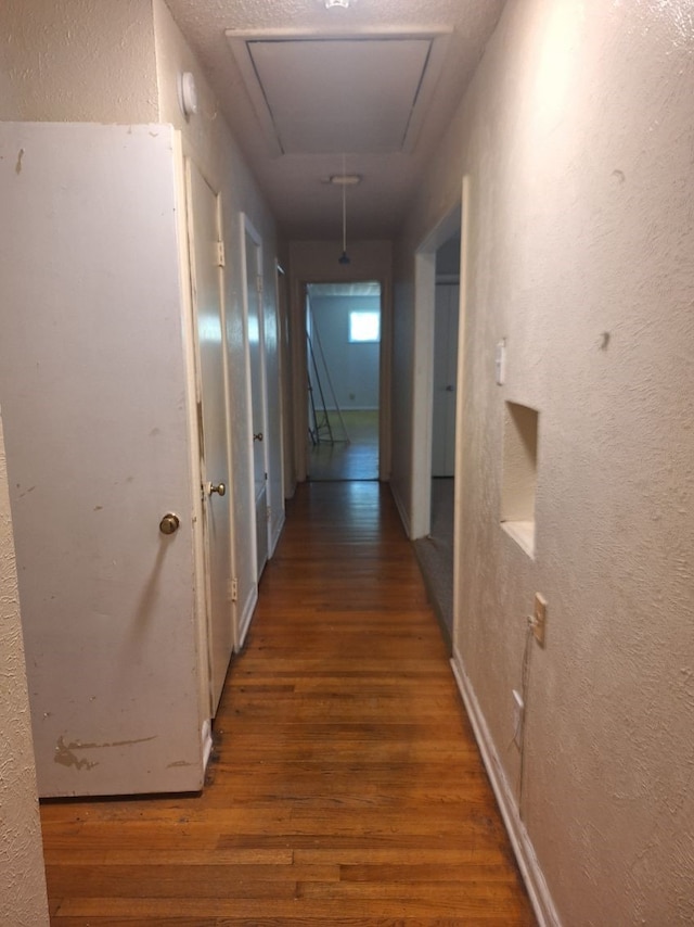 hallway featuring hardwood / wood-style floors