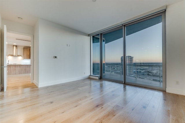 spare room featuring floor to ceiling windows, a wealth of natural light, and light wood-type flooring