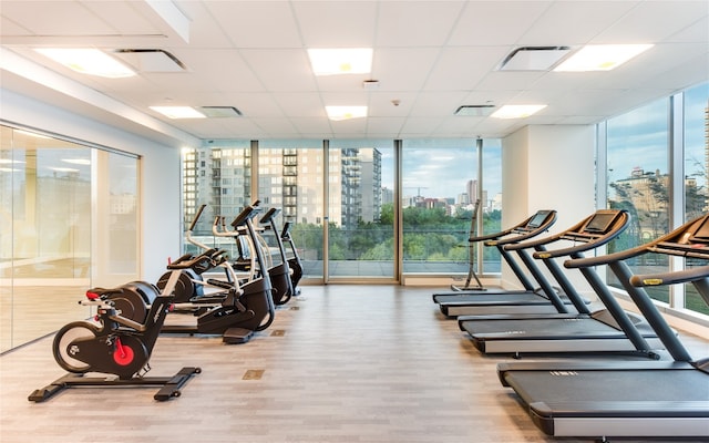 gym with expansive windows, light wood-type flooring, and a paneled ceiling