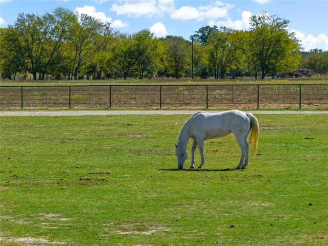 view of home's community with a yard