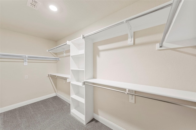 spacious closet with light colored carpet