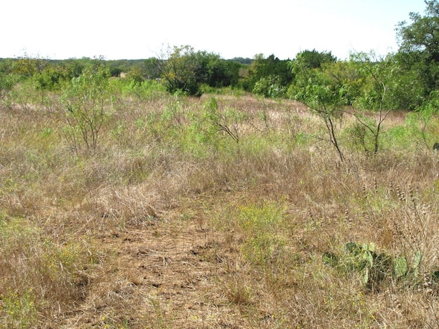 Listing photo 3 for 1 County Road 2830 N, Lampasas TX 76550