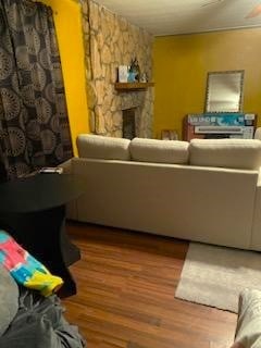 living room featuring a stone fireplace and wood-type flooring