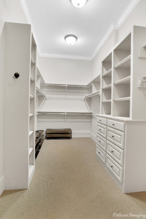 spacious closet with light carpet