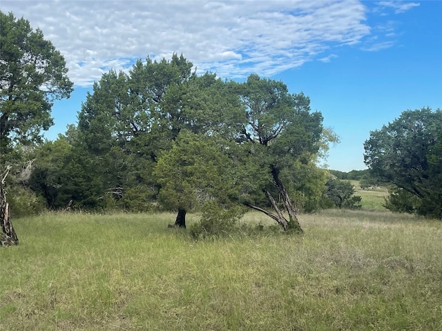 Listing photo 3 for 8012 Leven Link St, Cleburne TX 76033