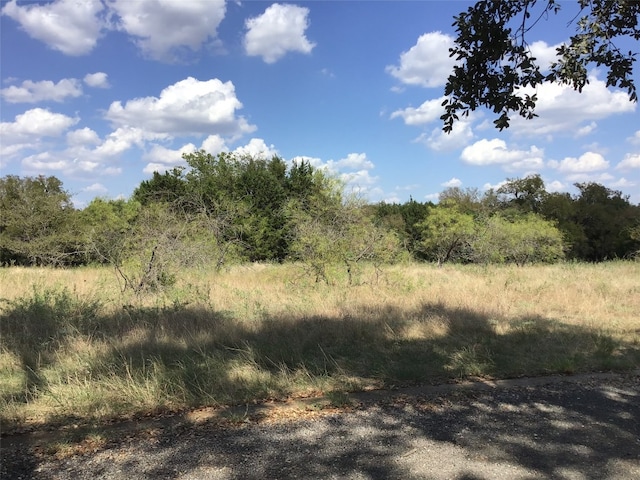 Listing photo 2 for 37067 Woodacre Loop, Whitney TX 76692