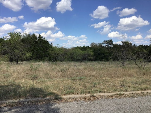 Listing photo 3 for 37067 Woodacre Loop, Whitney TX 76692