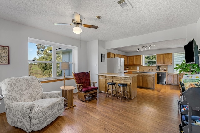 living room with ceiling fan, a wealth of natural light, and light hardwood / wood-style flooring