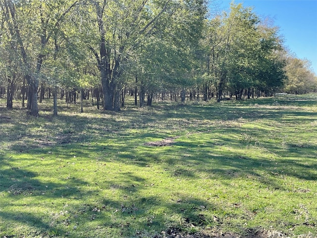 Listing photo 2 for TBD County Rd 4614 Road, Commerce TX 75428