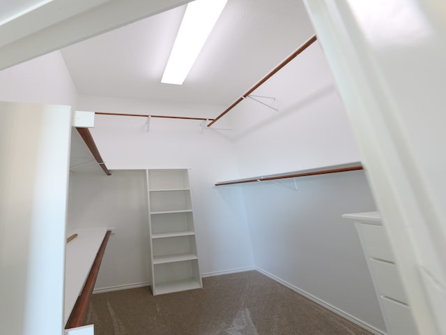 spacious closet with carpet floors