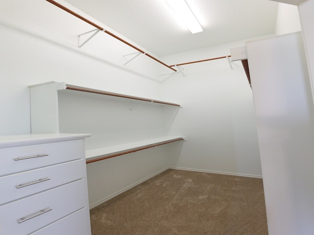 walk in closet with dark colored carpet