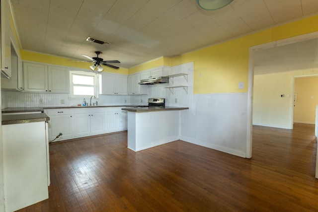 kitchen featuring white cabinets, ceiling fan, backsplash, and dark hardwood / wood-style floors