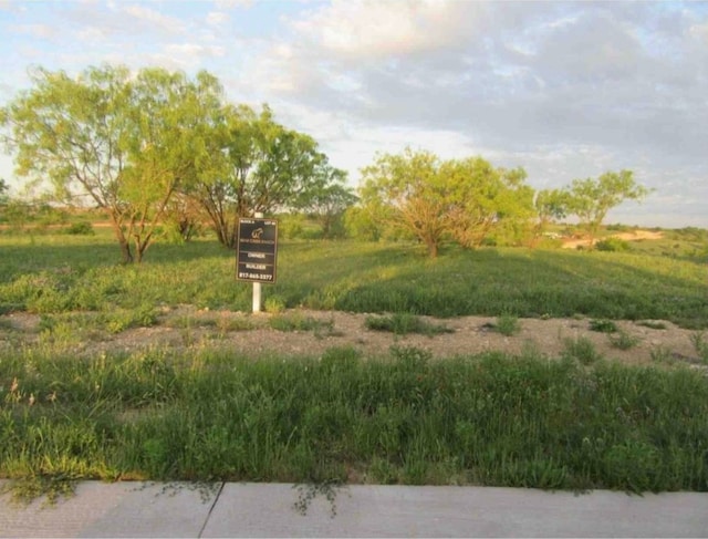 Listing photo 2 for 2028 Hidden Blf, Aledo TX 76008