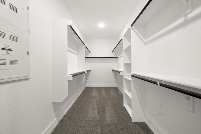 spacious closet with dark colored carpet