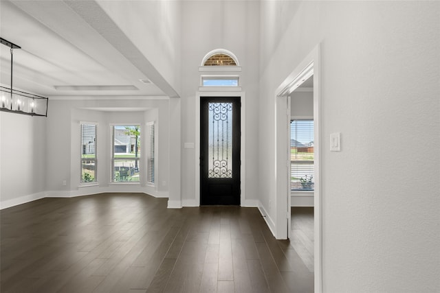 foyer entrance featuring dark wood-type flooring, a tray ceiling, and a notable chandelier