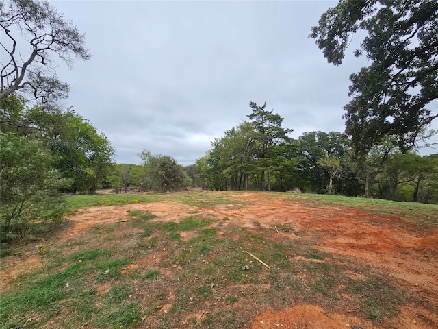 Listing photo 2 for TBD Layne Dr, Denison TX 75020