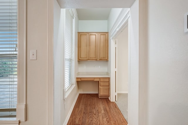 corridor featuring light hardwood / wood-style floors