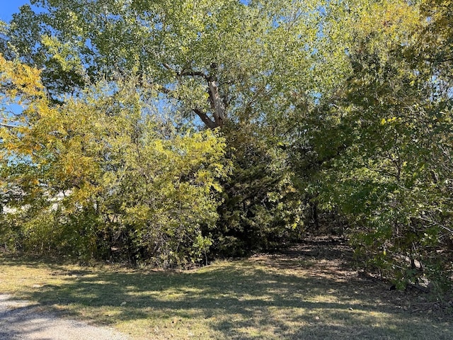 Listing photo 2 for LOT24 Prt O Call Dr, Runaway Bay TX 76426