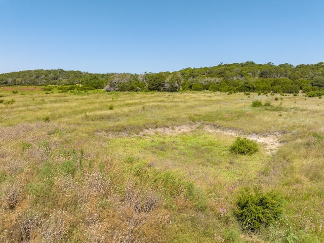 Listing photo 3 for TBD Bear Branch Rd, Purmela TX 76566