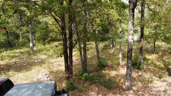 16550 County Road 4015, Mabank TX, 75147 land for sale