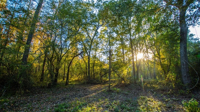 view of nature