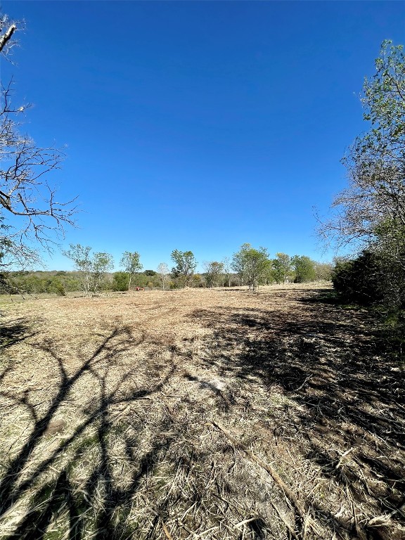 view of nature featuring a rural view