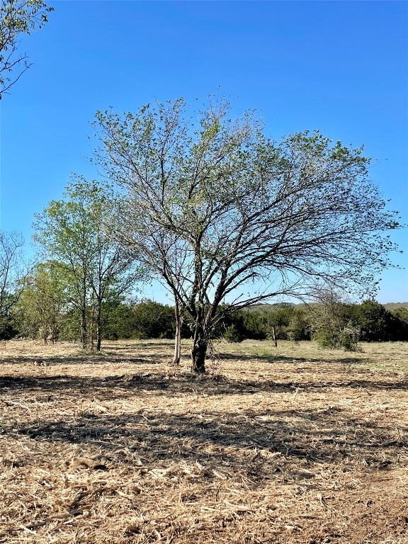 view of nature featuring a rural view