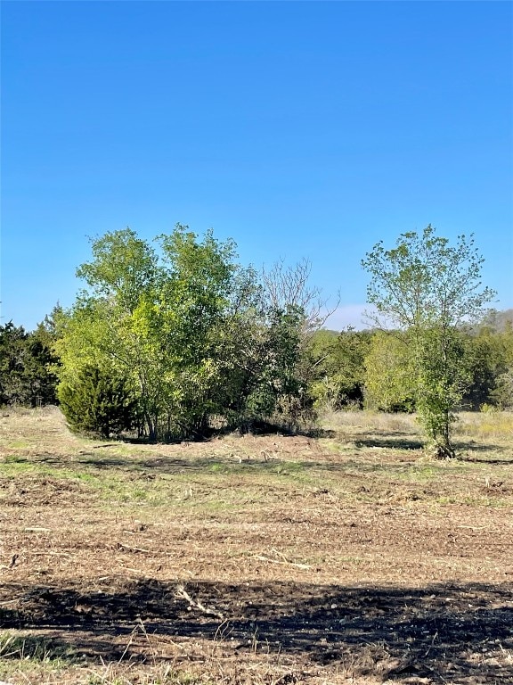 view of local wilderness with a rural view