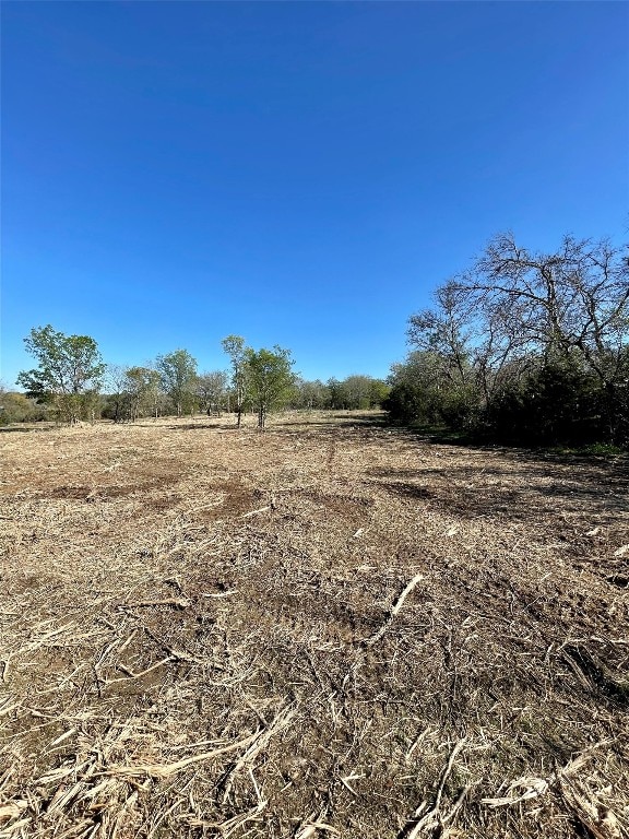 view of local wilderness with a rural view